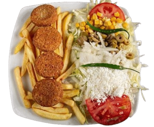 PLATO KEBAB VEGETAL